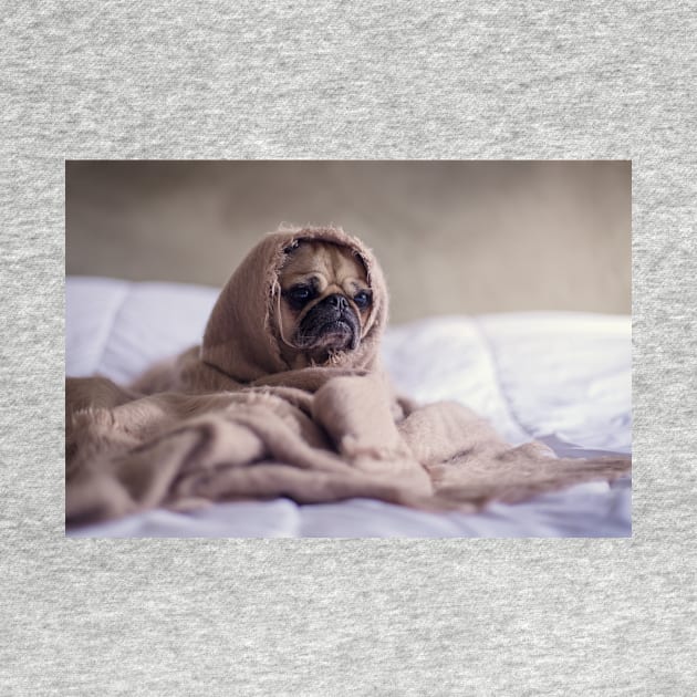 pug in a blanket by Wanderingangel